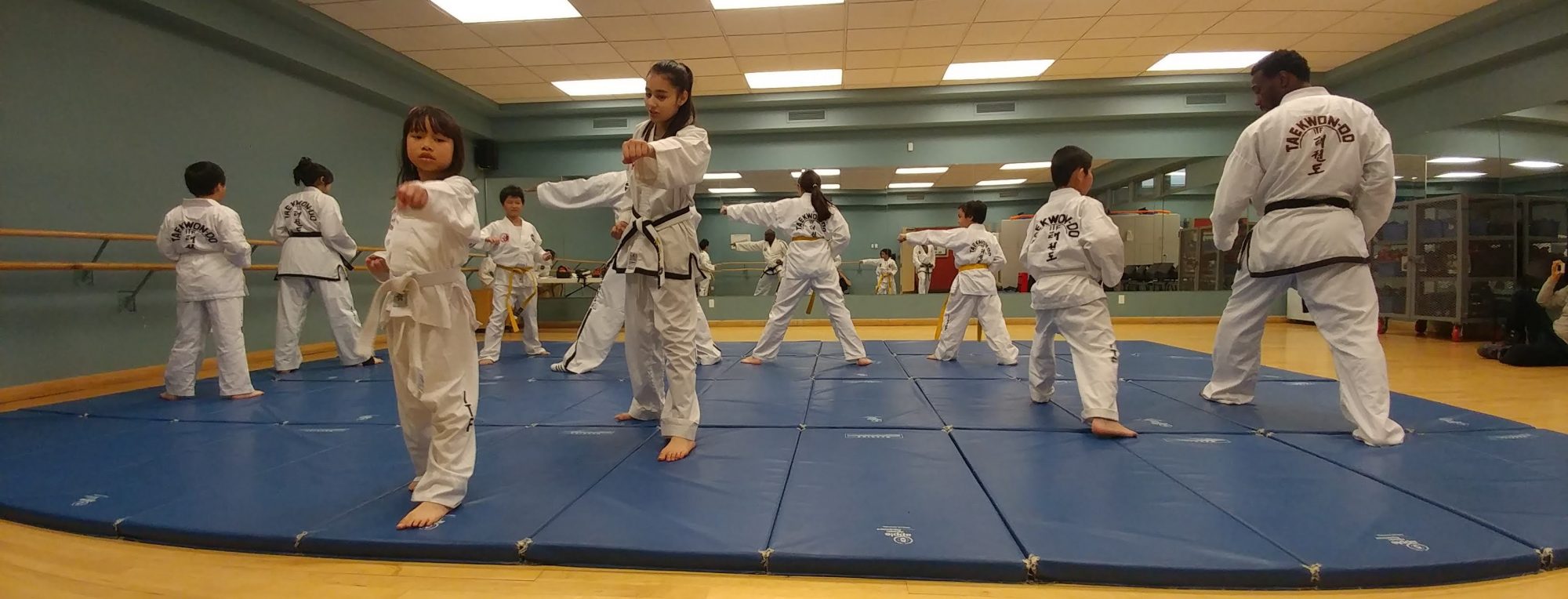 Etienne's International Taekwon-Do Academy